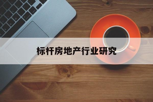 信阳市标杆房地产行业研究(房地产领域的标杆人物)
