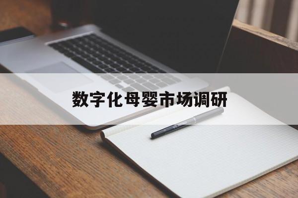 信阳市数字化母婴市场调研(数字化母婴市场调研报告)